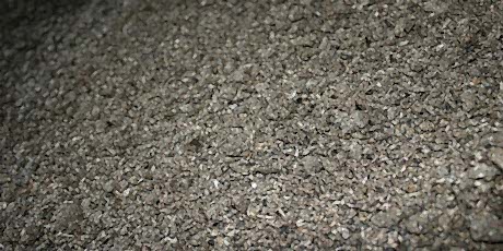 Ayçiçeği Tohumu Küspesi